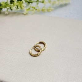 ARGOLA REDONDA FECHADA PP