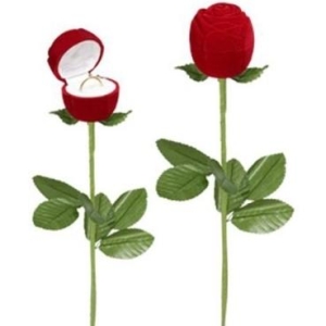 ESTOJO ROSA COM CABO PARA ALIANÇA