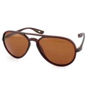 Oculos de sol armacao marrom lentes marrom