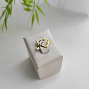 ANEL DOIS CORACOES DENTRO VAZADOS