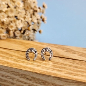 BRINCO FERRADURA PEQUENO PRATA 925