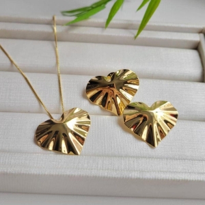 CONJUNTO CORACAO ORAGANICO