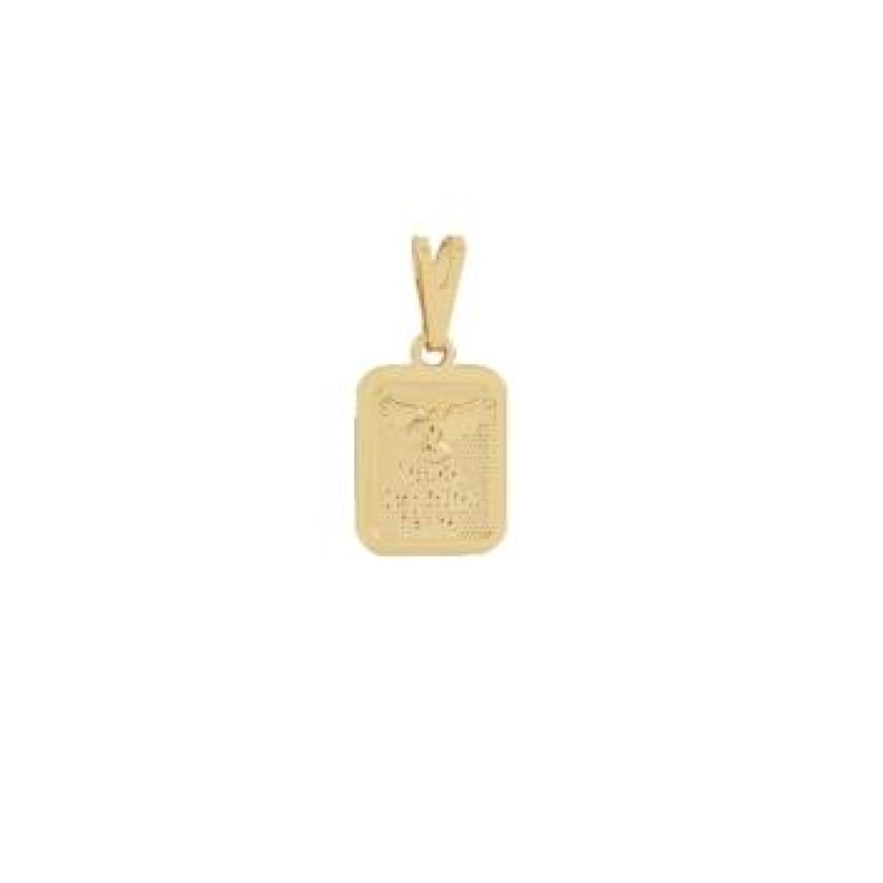 PINGENTE PLACA VINDE ESPIRITO SANTO BANHADO A OURO 18K