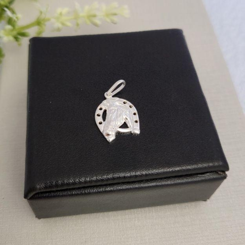 PG FERRADURA DE DAVI PRATA